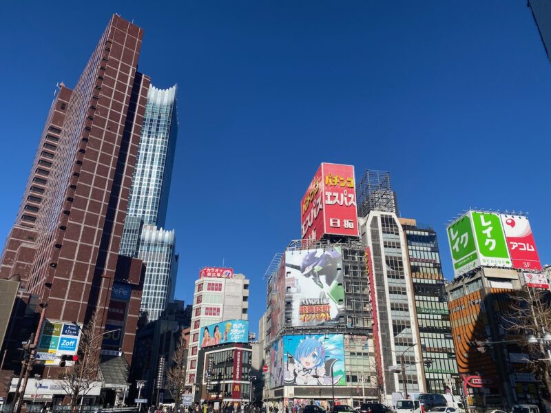 Tokyo, Japan. Image © PlanetSKI